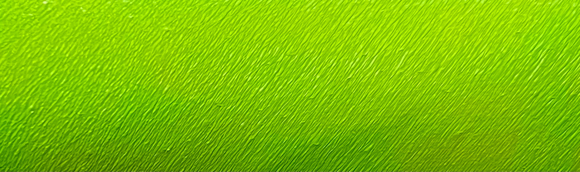Green water-activated graphic liner in Kelly shade by Nekoyanin, shown in a close-up image highlighting its vibrant color and texture.