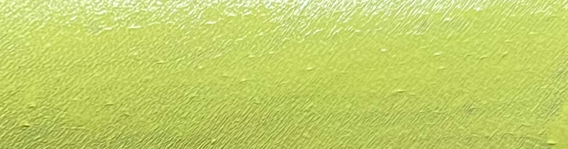 Nekoyanin Chartreuse yellow water-activated graphic eyeliner displayed on white background.