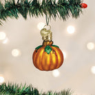 Small pumpkin ornament from Old World Christmas featuring a bright orange pumpkin with detailed carved design.