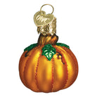 Old World Christmas small pumpkin ornament with detailed orange and green glass design, perfect for fall decor.