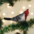 Red-crested Cardinal ornament from Old World Christmas featuring a bright red bird with detailed feathers and festive design.
