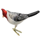 Red-crested Cardinal ornament from Old World Christmas, featuring vibrant red feathers and detailed decorative design.
