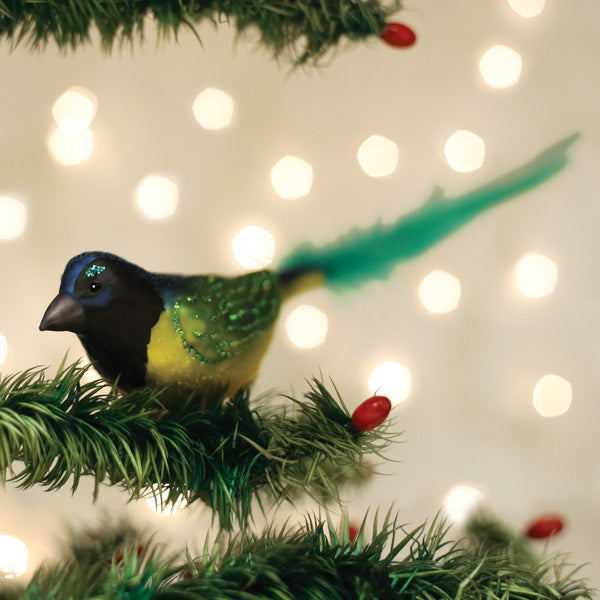 Green Jay ornament by Old World Christmas featuring a detailed, colorful bird-shaped glass holiday decoration.