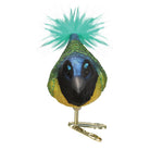 Green Jay ornament from Old World Christmas featuring a detailed, colorful glass bird with intricate feather designs.