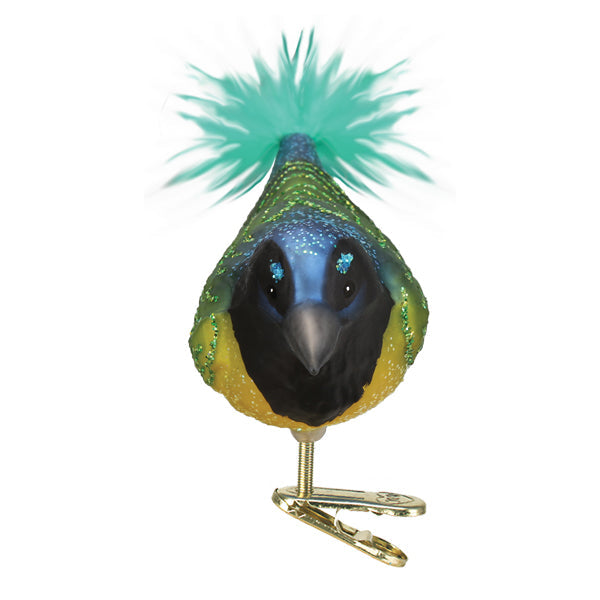 Green Jay ornament from Old World Christmas featuring a detailed, colorful glass bird with intricate feather designs.