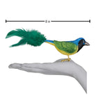 Green Jay ornament from Old World Christmas featuring a detailed glass bird with vibrant green feathers.