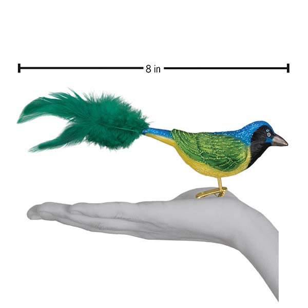 Green Jay ornament from Old World Christmas featuring a detailed glass bird with vibrant green feathers.