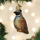 Old World Christmas quail ornament featuring detailed, colorful quail design with decorative feathers and festive detailing