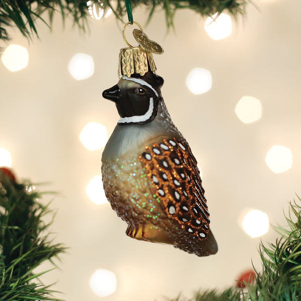 Old World Christmas quail ornament featuring detailed, colorful quail design with decorative feathers and festive detailing