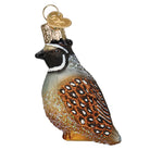 Old World Christmas quail ornament featuring a detailed, colorful quail design with realistic feathers and festive holiday accents.