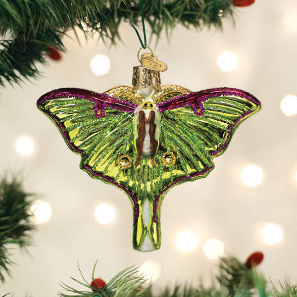 Old World Christmas Luna Moth Ornament featuring a detailed, colorful moth design on a decorative hanging ornament.