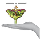 Old World Christmas Luna Moth Ornament featuring detailed, colorful glass craftsmanship and intricate moth design.