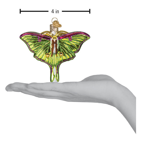 Old World Christmas Luna Moth Ornament featuring detailed, colorful glass craftsmanship and intricate moth design.