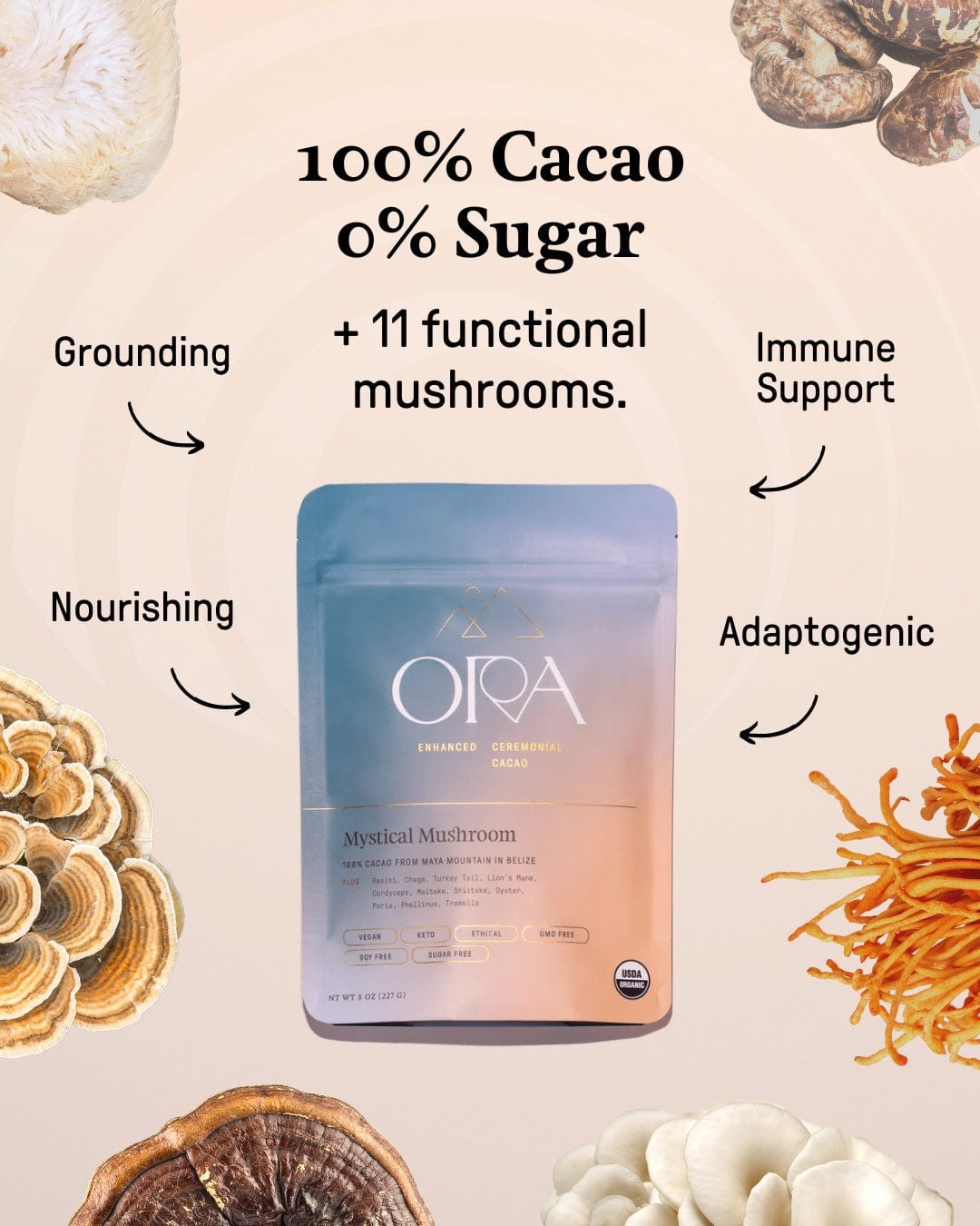 Enhanced 100% ceremonial cacao with mystical mushroom from Ora Cacao, showing a close-up of the cacao block with mushroom infusion.