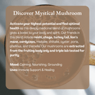 Enhanced 100% ceremonial cacao from Ora Cacao with mystical mushroom infusion, displayed in a 1 lb package.