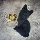 Beeswax Fast Fox Spell Candle by Parlour of Wonders with orange wax, designed for quick results and cunning magic.