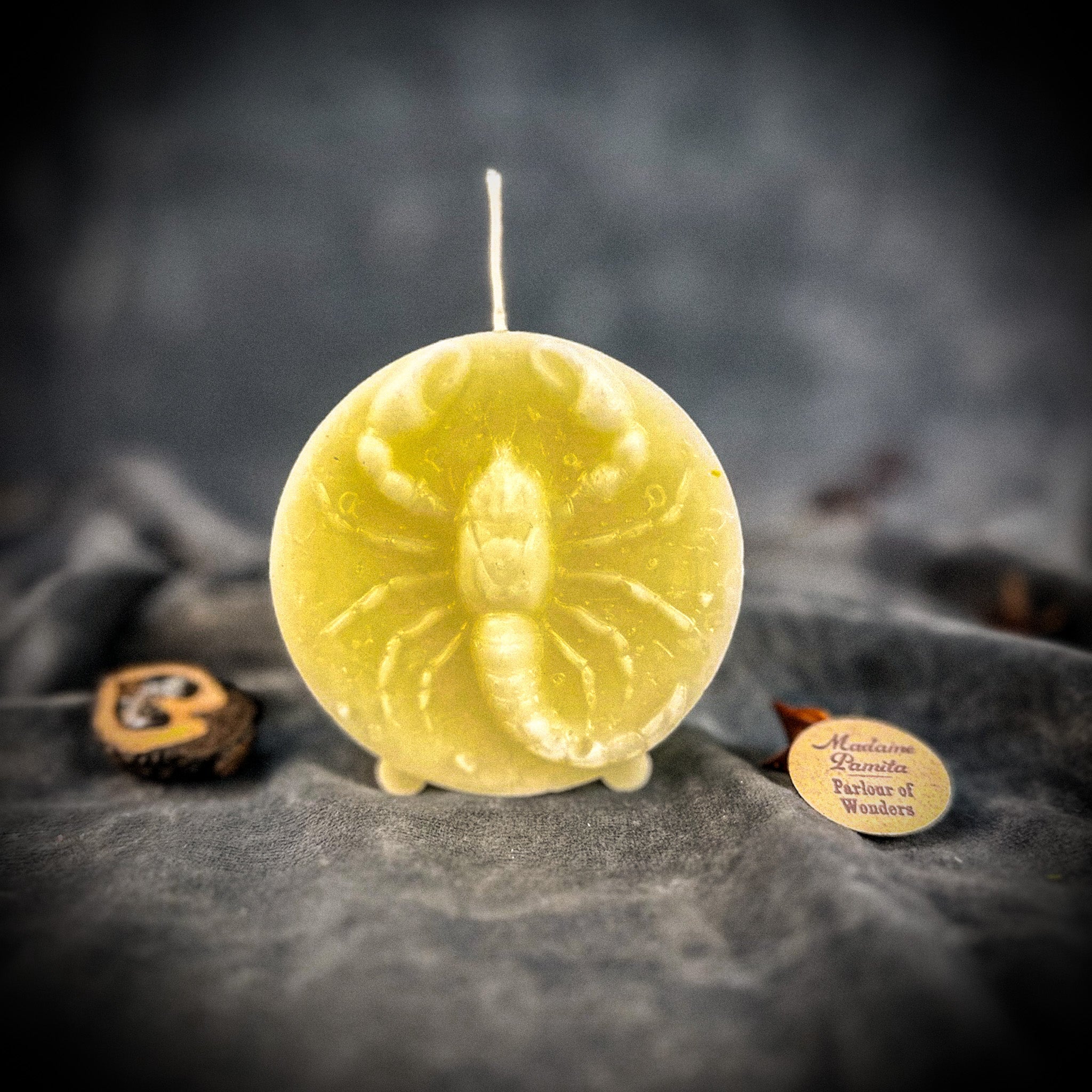 Red beeswax Scorpio zodiac spell candle featuring a scorpion design, symbolizing transformation, power, and intuition.