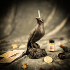 Parlour of Wonders Raven Magic Candle Spell Kit with black candles for intelligence and spirit world connection.