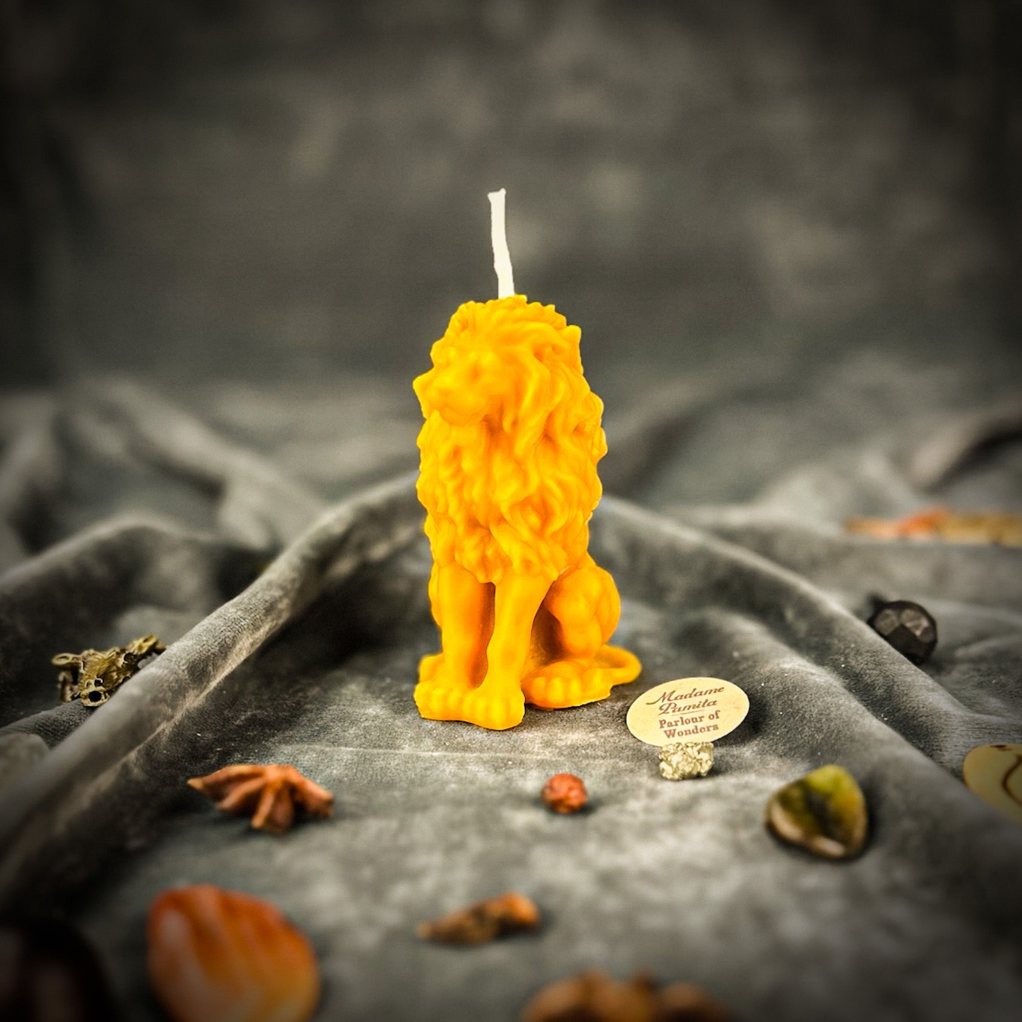Parlour of Wonders Proud Lion Candle Spell Kit featuring grounding brown lion candle for courage and leadership magic.
