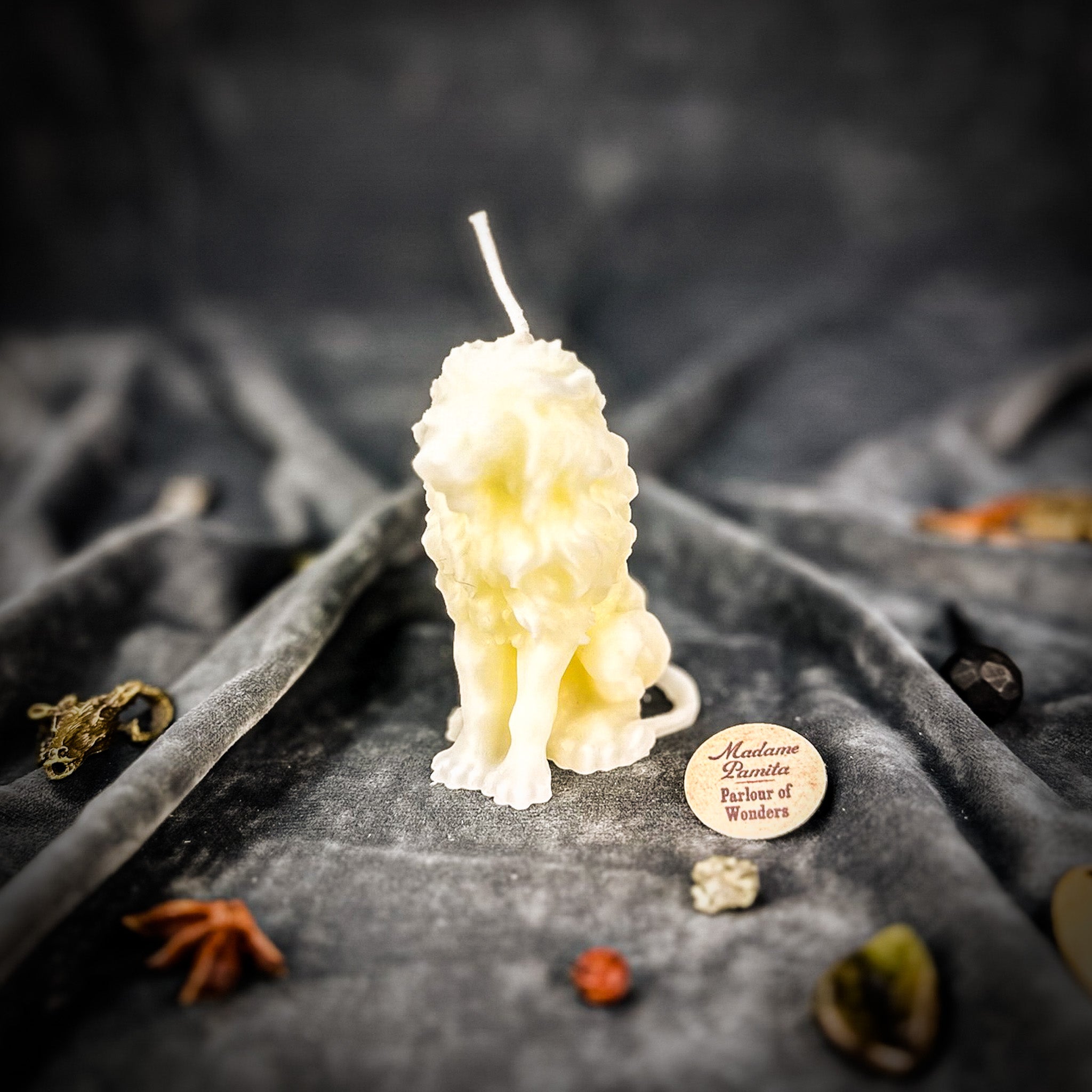 Parlour of Wonders Proud Lion Candle Spell Kit featuring a brown grounding lion candle for courage and leadership magic.