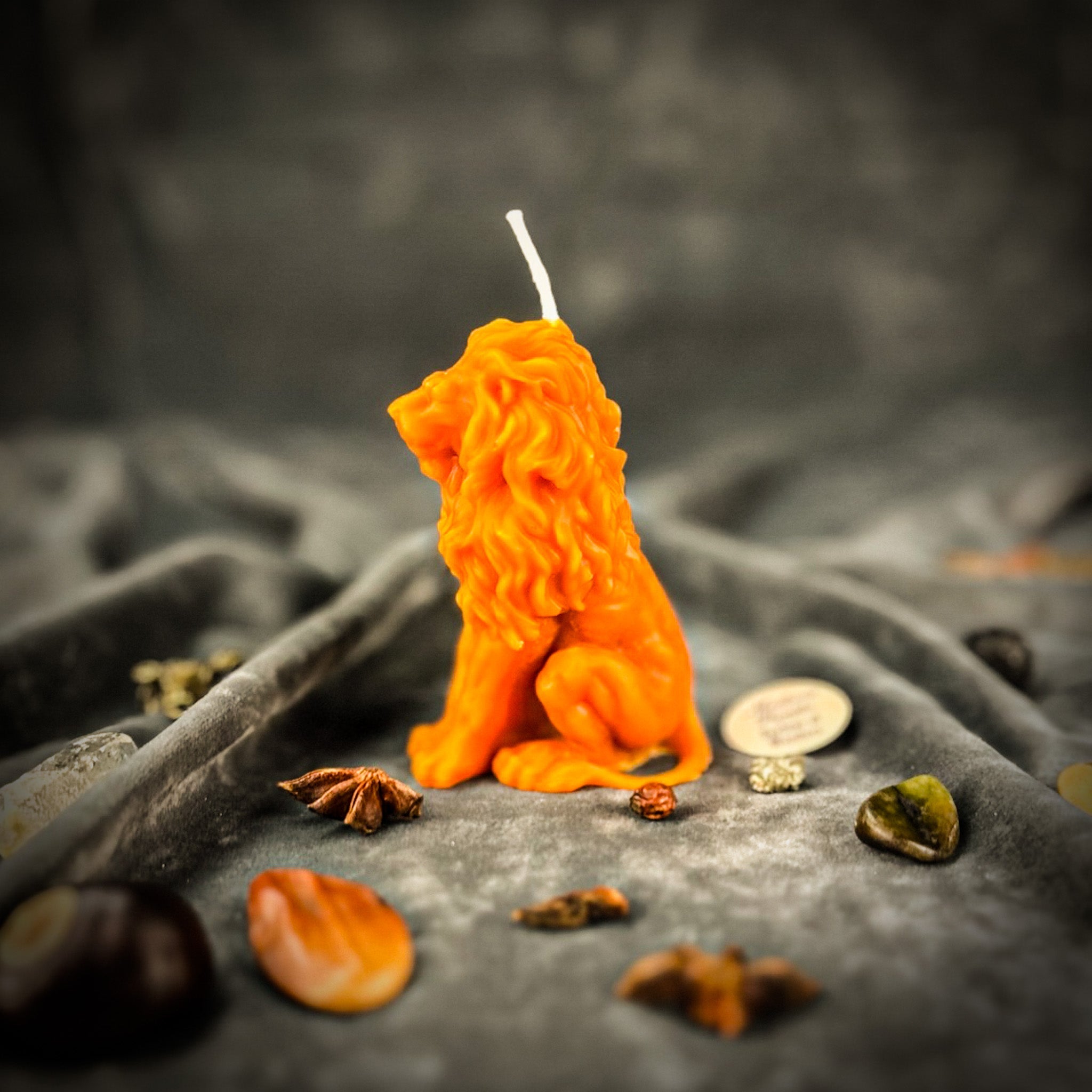 Parlour of Wonders Proud Lion Candle Spell Kit with brown grounding candle for courage and leadership magic.