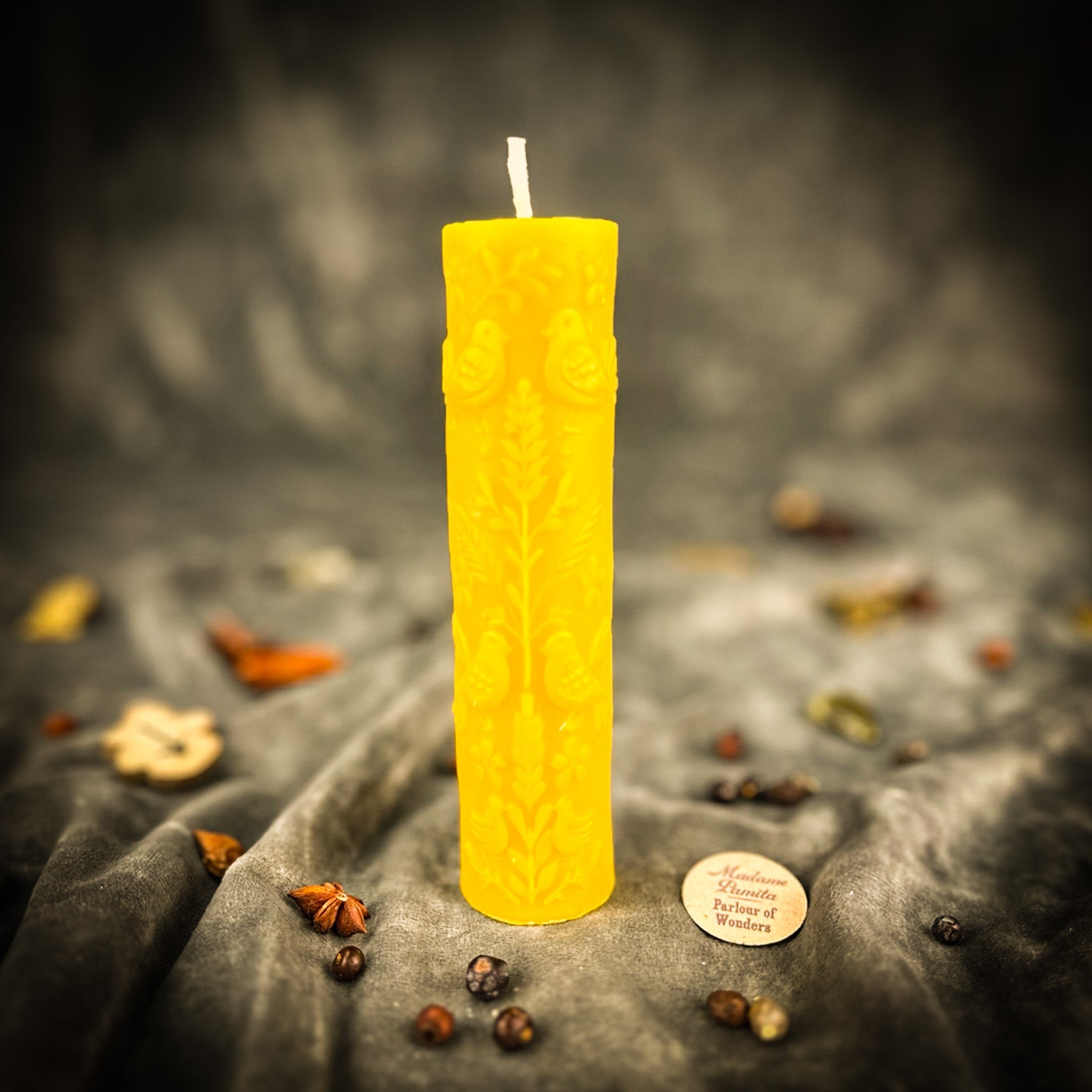 Parlour of Wonders Tree of Life Candle Spell Kit with green candle, herbs, and symbols for growth and connection rituals.