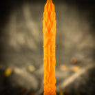 Parlour of Wonders Stritennya Asparagus Candlemas Taper Candle Spell Kit with green taper candles for renewal and protection.