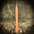 Parlour of Wonders Stritennya Asparagus Candle Spell Kit with green taper candles for renewal and protection rituals.
