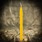 Parlour of Wonders Stritennya Asparagus Candlemas Taper Candle Spell Kit with green candles for renewal and protection rituals.