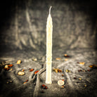 Parlour of Wonders Stritennya Asparagus Candlemas Taper Candle Spell Kit with green candles for renewal and protection rituals.