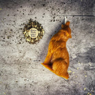 Green Howling Wolf Candle Spell Kit by Parlour of Wonders, featuring candles for voice, courage, and prosperity magic.