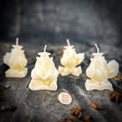 Parlour of Wonders School of Owls Candle Spell Kit featuring orange candles and owl imagery for academic success and wisdom.