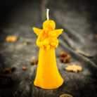 Dog Guardian Spirit Candle Spell Kit from Parlour of Wonders, featuring an orange candle for pet protection and healing.