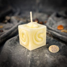 Pink Snake of Transformation Candle Spell Kit by Parlour of Wonders for renewal and personal growth, includes candles and spell components.