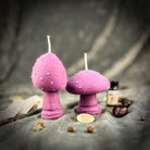 Parlour of Wonders Mystical Mushroom Duo Candle Spell Kit with purple candles for forest wisdom and shadow work magic.
