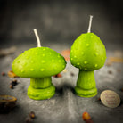 Parlour of Wonders Mystical Mushroom Duo Candle Spell Kit with purple candles for forest wisdom and shadow work magic.
