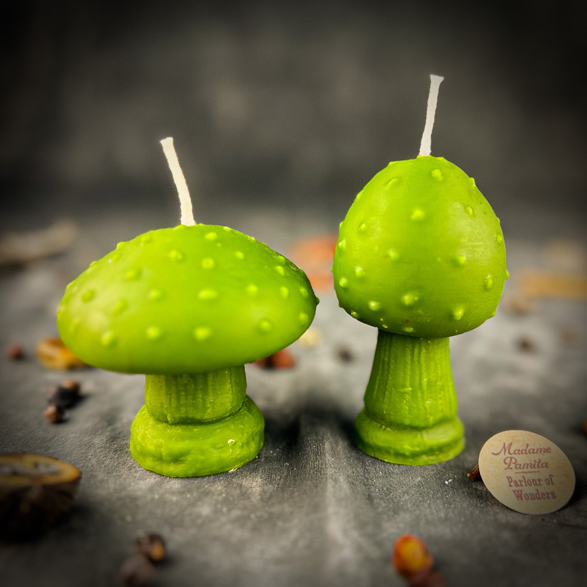 Parlour of Wonders Mystical Mushroom Duo Candle Spell Kit with purple candles for forest wisdom and shadow work magic.