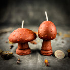 Parlour of Wonders Mystical Mushroom Duo Candle Spell Kit with purple candles for forest wisdom and shadow work magic.