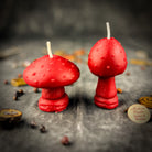Parlour of Wonders Mystical Mushroom Duo Candle Spell Kit with purple candles for forest wisdom and shadow work magic.