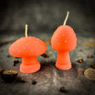 Mystical Mushroom Duo Candle Spell Kit by Parlour of Wonders featuring purple candles for forest wisdom and shadow work magic.
