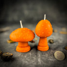 Parlour of Wonders Mystical Mushroom Duo Candle Spell Kit with purple candles for forest wisdom and shadow work magic.