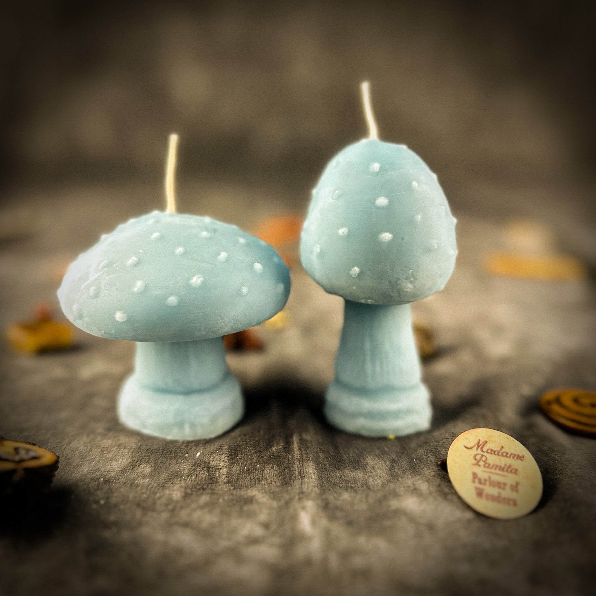 Parlour of Wonders Mystical Mushroom Duo Candle Spell Kit with purple candles for forest wisdom and shadow work magic.