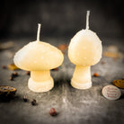 Parlour of Wonders Mystical Mushroom Duo Candle Spell Kit with purple candles for forest wisdom and shadow work magic.