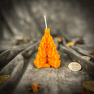Living Fire Candle Spell Kit by Parlour of Wonders featuring purple candle for purification and transformation rituals.