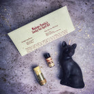Red Lucky Cat Candle Spell Kit by Parlour of Wonders, including candles and tools for fast action and manifestation magic.