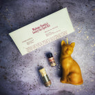 Red Lucky Cat Candle Spell Kit by Parlour of Wonders, featuring candles and tools for manifestation magic and fast action spells.