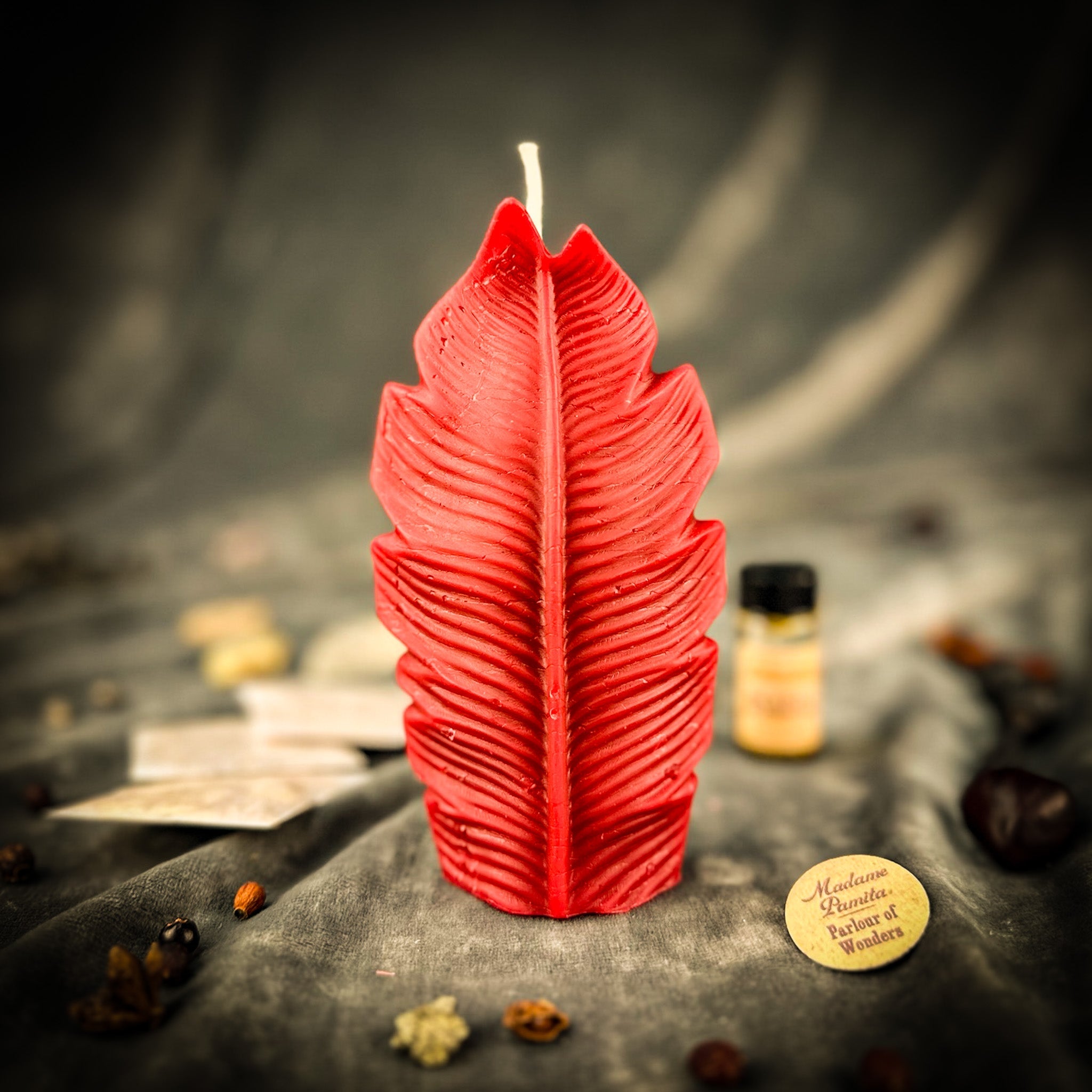 Parlour of Wonders Plant Spirit Candle Spell Kit with red candles for garden blessing and nature magic, including herbs and ritual tools.