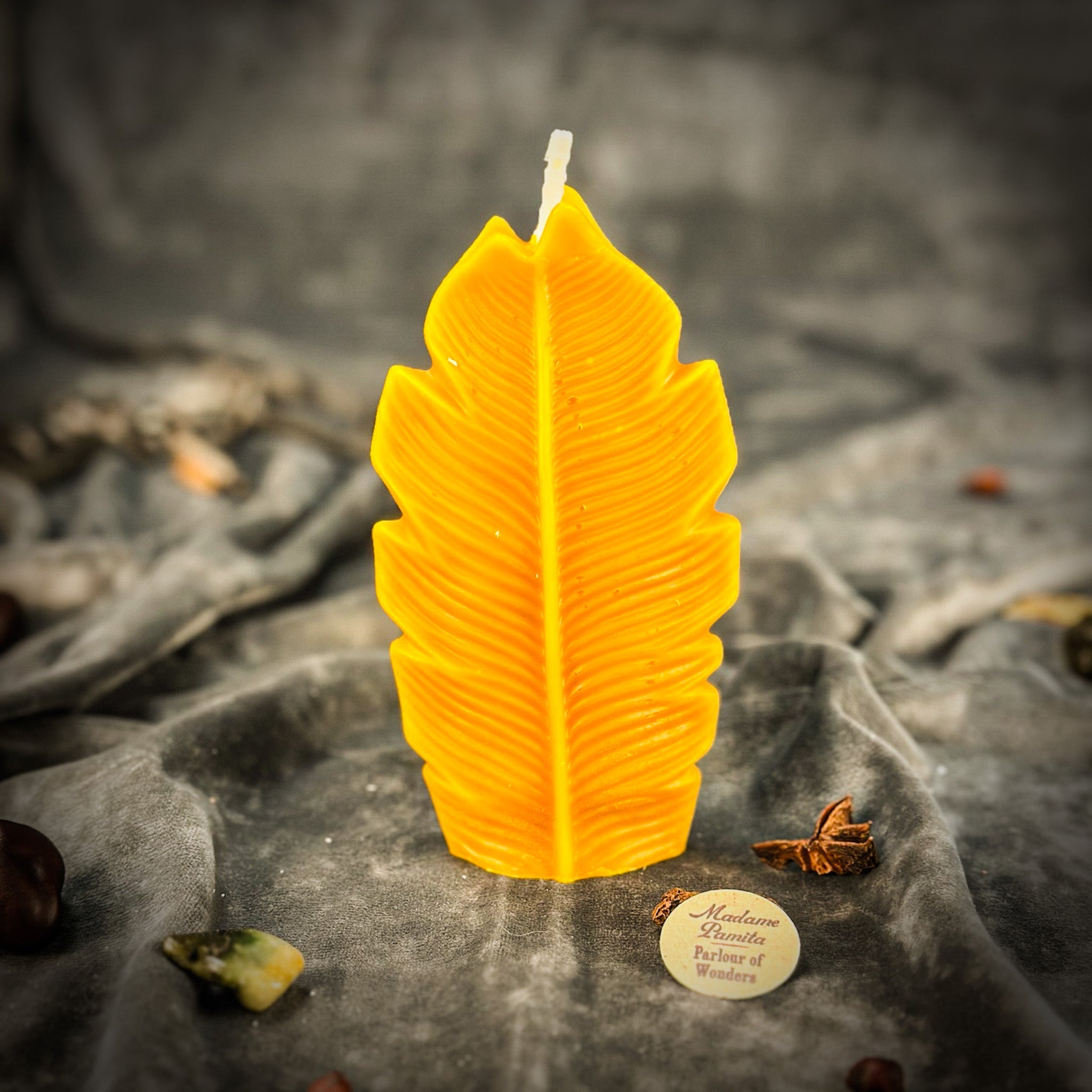 Plant Spirit Candle Spell Kit by Parlour of Wonders featuring red passion candles for garden blessing and nature magic.