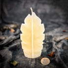 Parlour of Wonders Plant Spirit Candle Spell Kit with red passion candles for garden blessing and nature magic rituals.