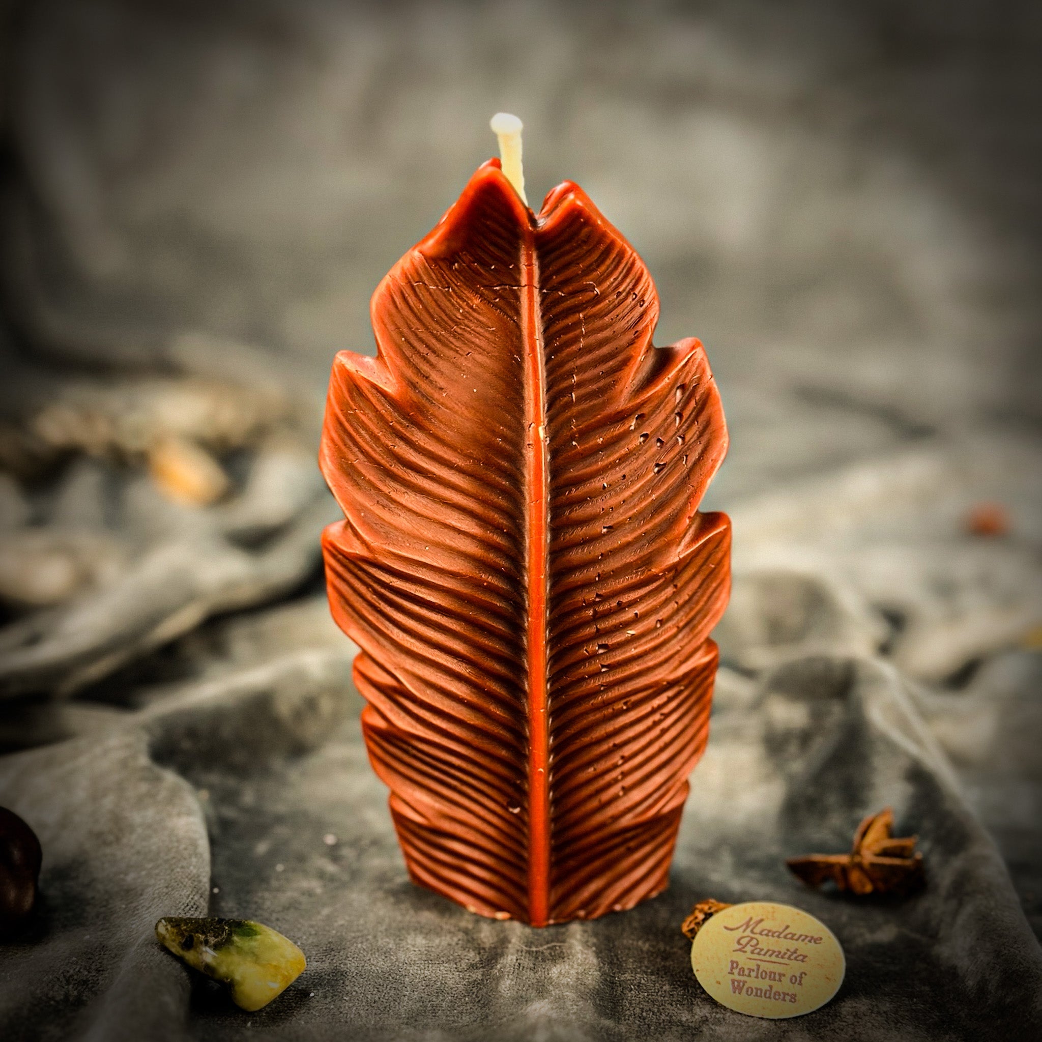 Parlour of Wonders Plant Spirit Candle Spell Kit with red Passion candle, garden blessing, and nature magic elements.